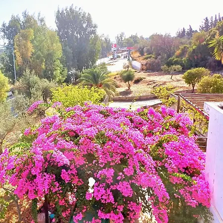 Bougainvillea Retreat Above Faliraki Apartament